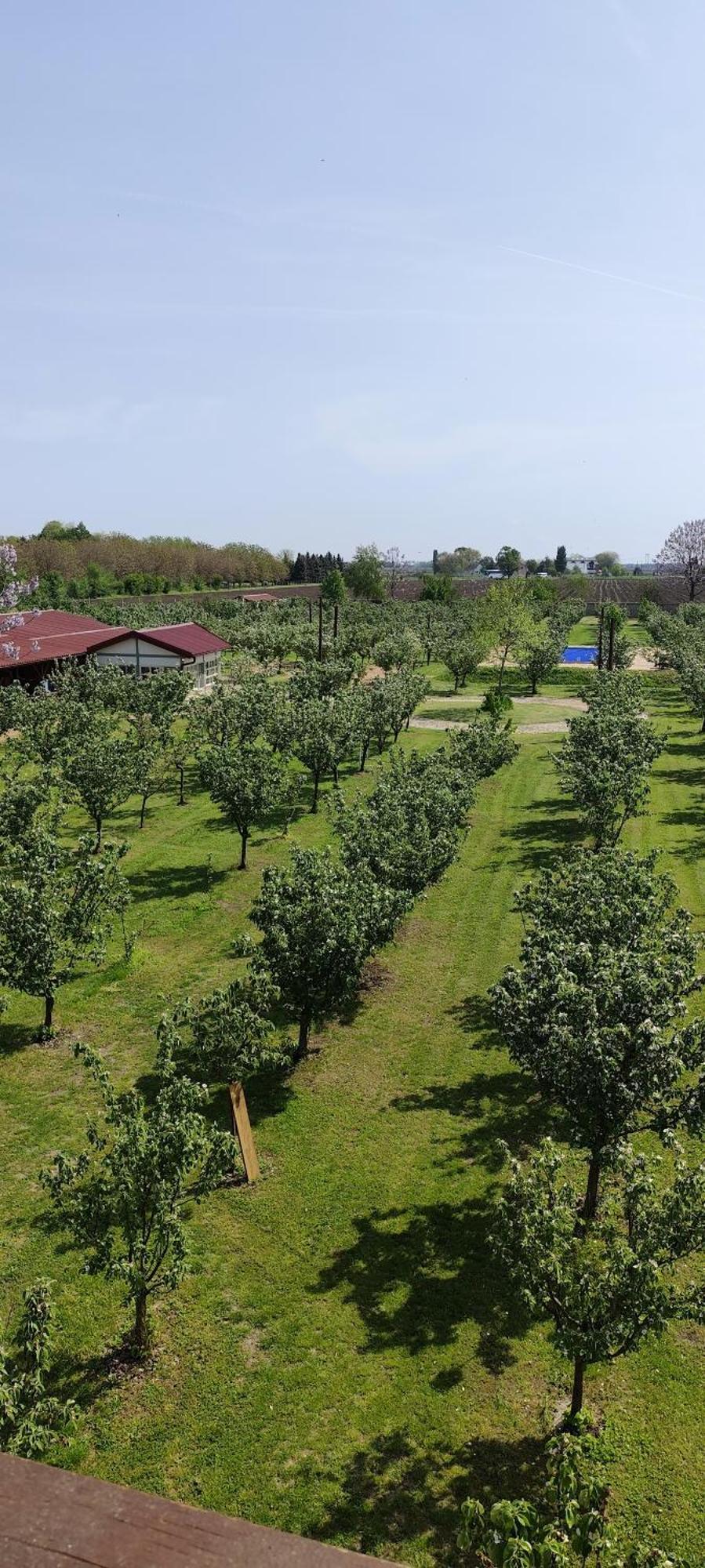 Salas Farma 47-Miris Dunja Cenej Exterior foto