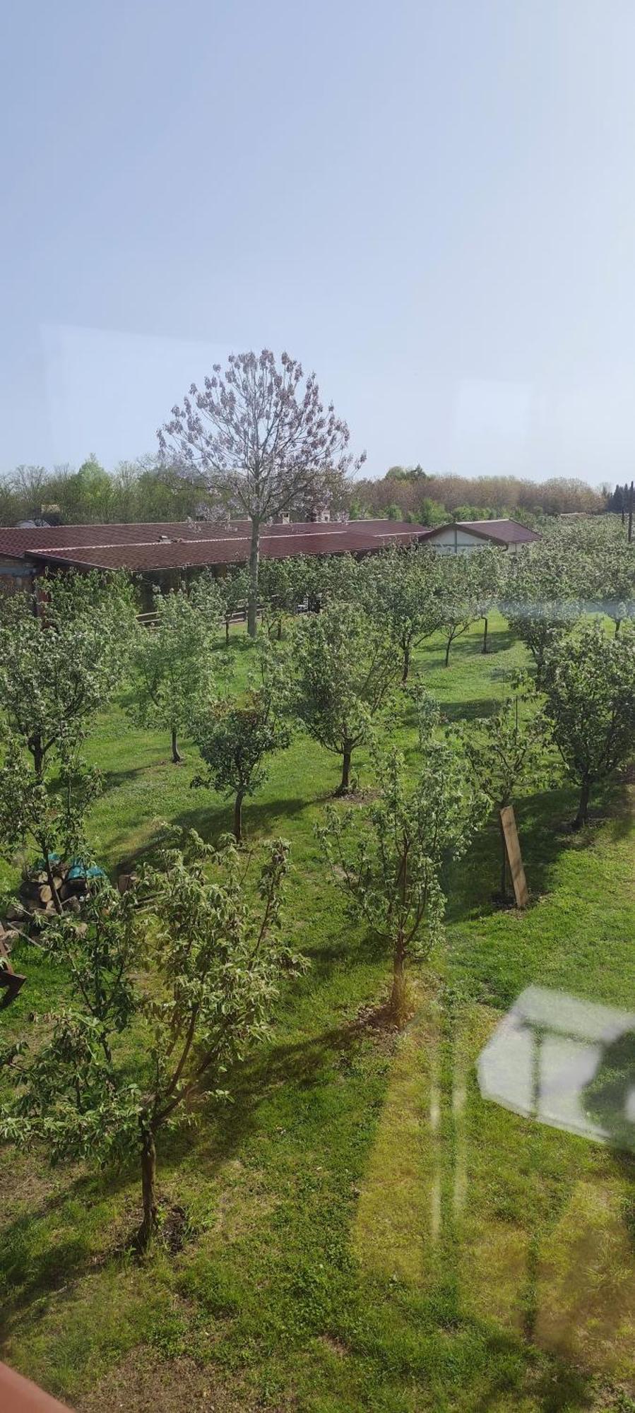 Salas Farma 47-Miris Dunja Cenej Exterior foto